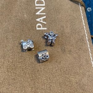 Pandora Charms